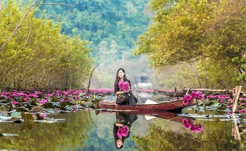 Những điểm du lịch cuốn hút đậm chất "thơ" của Việt Nam