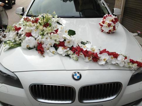 Cho thuê xe cưới màu trắng BMW 523i